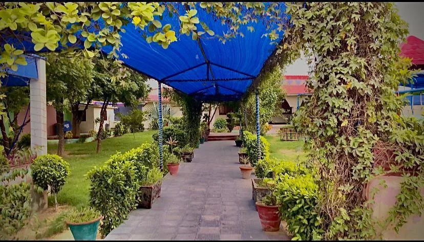 featured image of King Star Farm House